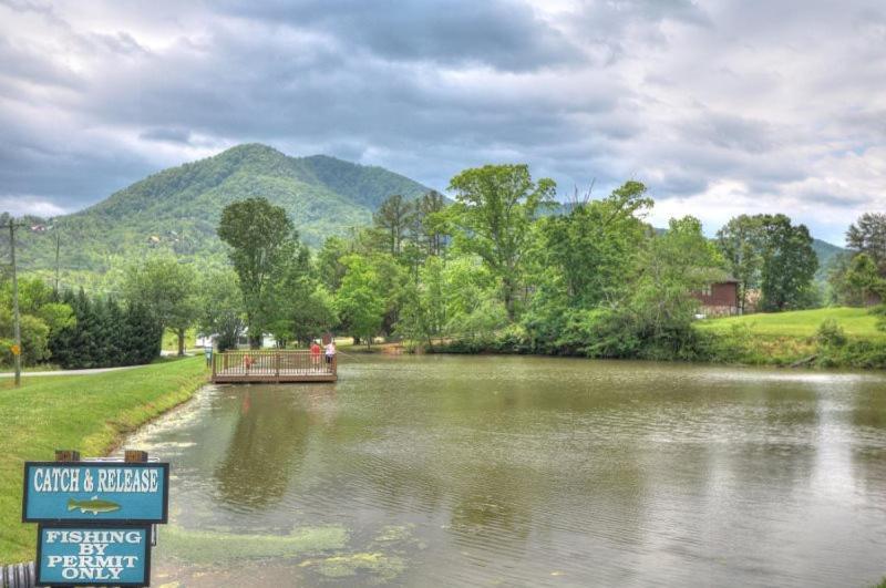 Peaceful Mountain View- Hot Tub- Pool Table- Fire Pit-fenced Yard-pet Friendly- Pool & Pond Sevierville